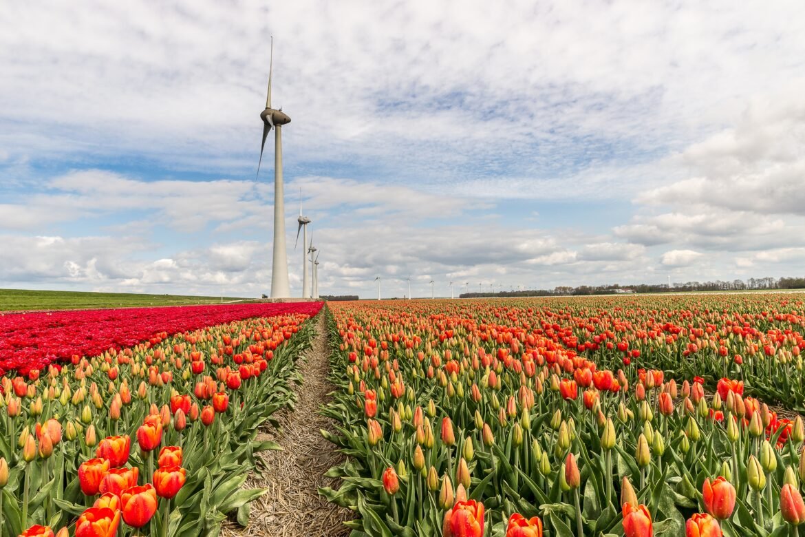 Netherlands