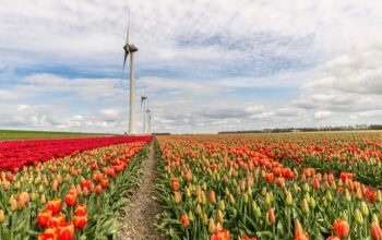Netherlands